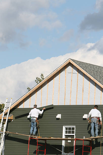 Best Brick Veneer Siding  in Carencro, LA