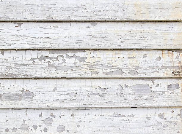 Best Historical Building Siding Restoration  in Carencro, LA